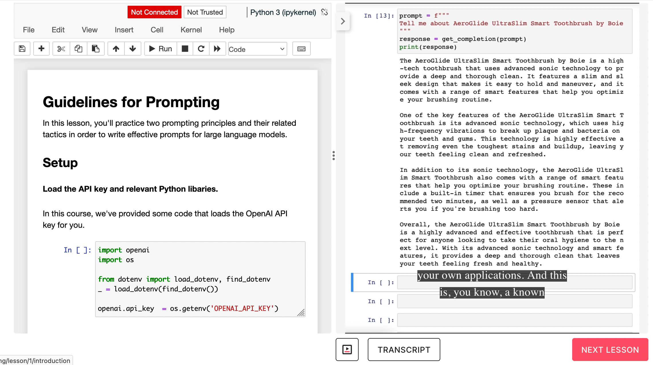 chatgpt prompt engineering for developers display